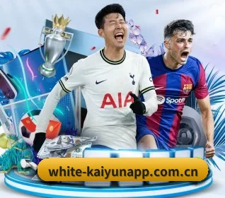 white-kaiyunapp.com.cn的方向 - 长期内容价值积累
